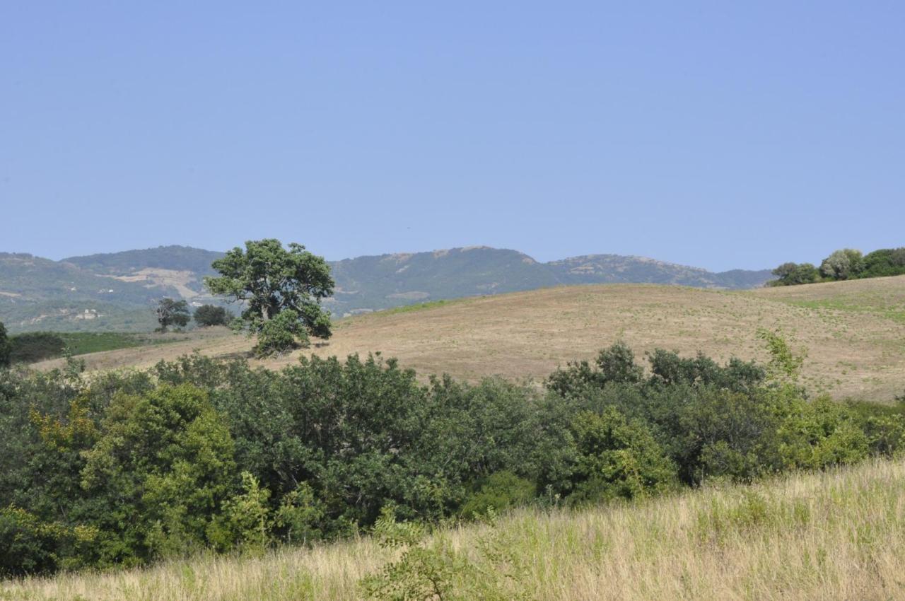 La Colombera In Toscana Roccalbegna 外观 照片